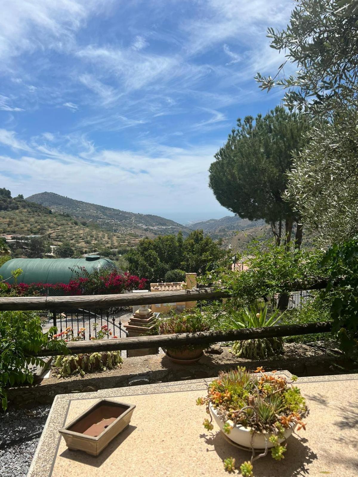 Los Olivos Málaga Buitenkant foto