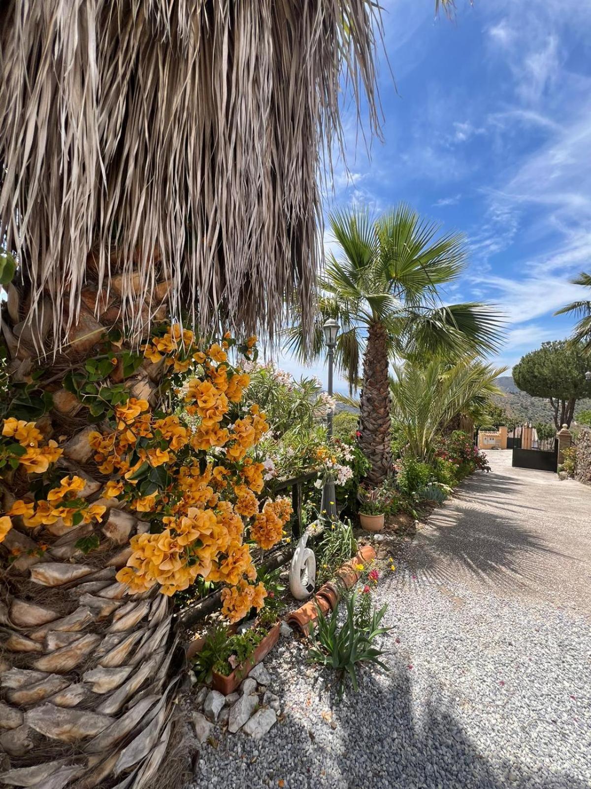 Los Olivos Málaga Buitenkant foto